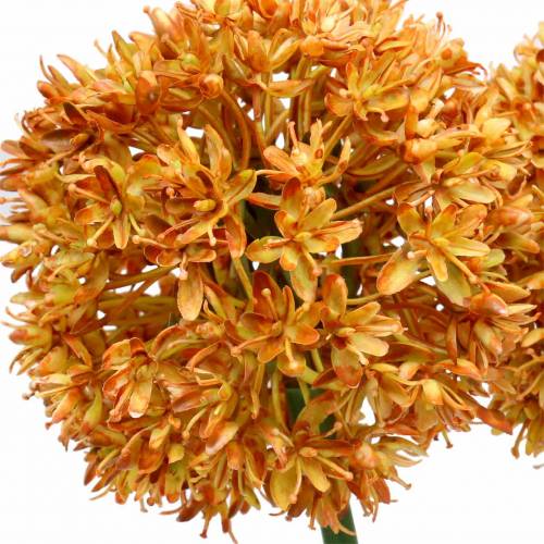 Floristik24 Allium ozdobne sztuczne pomarańczowe 70cm 3szt.