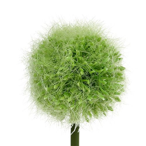 Produkt Allium zielony L37,5 cm 4 szt.