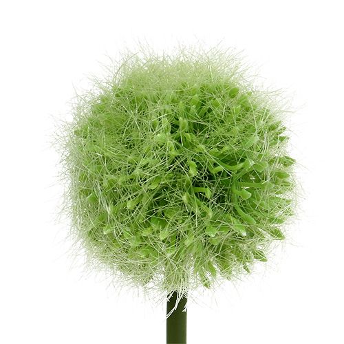 Floristik24 Allium zielony L37,5 cm 4 szt.