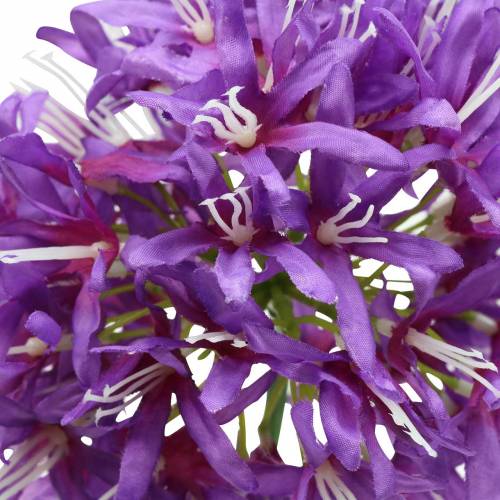 Floristik24 Ozdobne allium sztuczny fiolet Ø12cm W62cm
