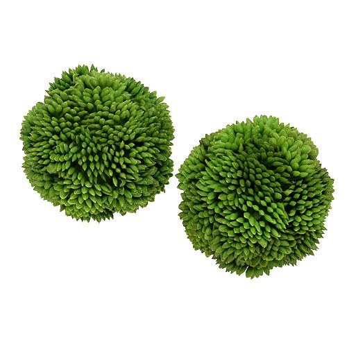 Floristik24 Allium kulka 5cm Zielony 4szt