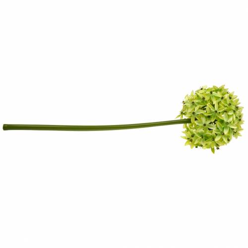 Produkt Ozdobny Allium, Kwiat Jedwabny, Sztuczna Kula Por Zielony Ø20cm L72cm