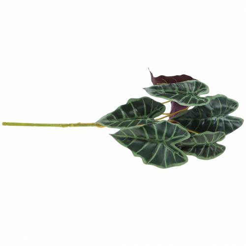Produkt Liść strzałki alocazji zielony, fioletowy sztuczna roślina wys. 48cm