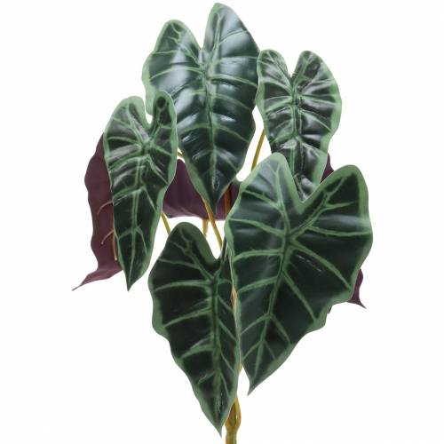 Produkt Liść strzałki alocazji zielony, fioletowy sztuczna roślina wys. 48cm