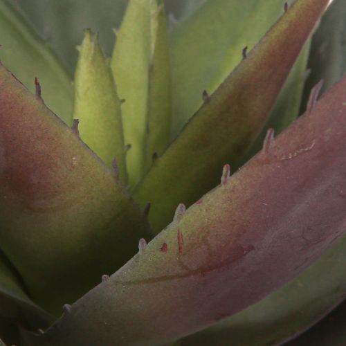 Produkt Aloe Vera Sztuczna roślina Fioletowe sztuczne sukulenty Ø18cm