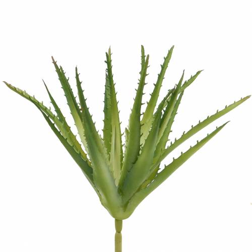 Produkt Aloe Vera sztuczny zielony 26cm