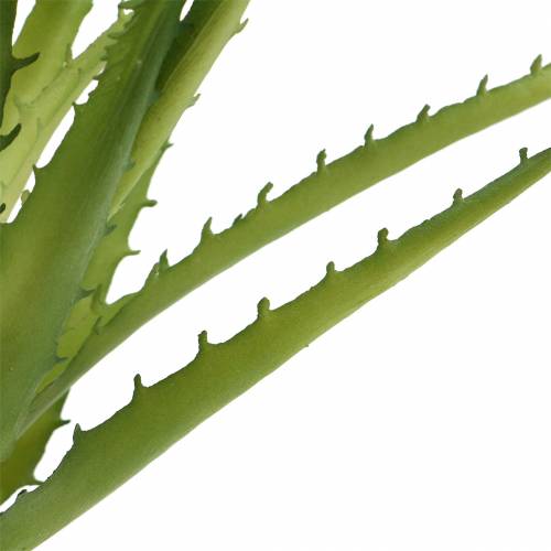 Produkt Aloe Vera sztuczny zielony 26cm