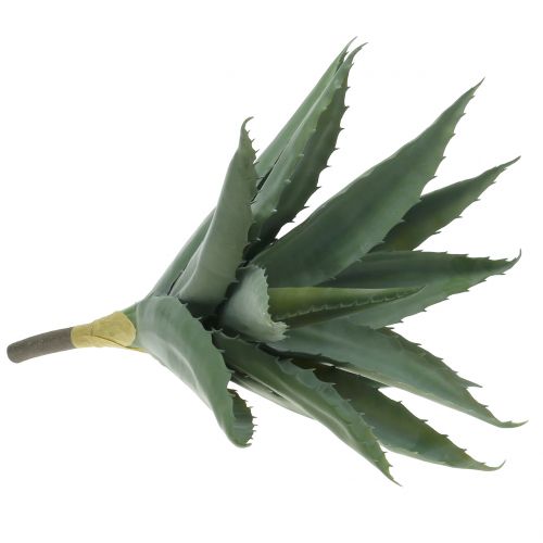 Floristik24 Sztuczna zieleń aloesu 47 cm