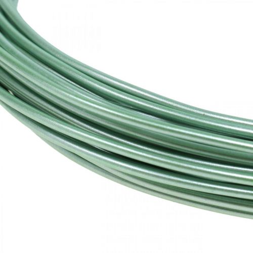 Floristik24 Drut aluminiowy Ø2mm Zielony Mat 100g 12m