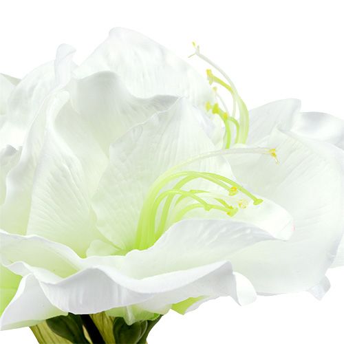 Produkt Amarylis Kwiat biały L 73cm 2szt.
