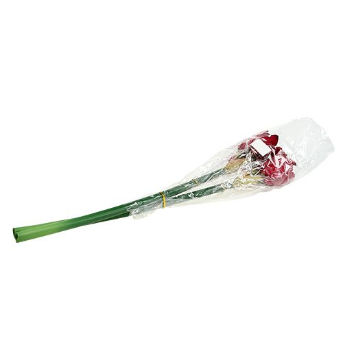 Floristik24 Amarylis ciemnoczerwony L 73cm 2szt.