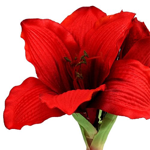 Floristik24 Amarylis czerwony L 68cm 1szt.