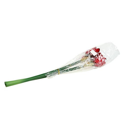 Floristik24 Amarylis czerwony L 73cm 2szt.
