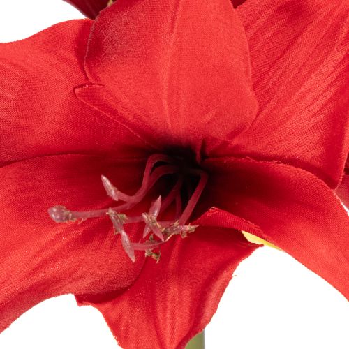 Sztuczny czerwony amarylis z łodygą, dekoracja kwiatowa na Boże Narodzenie, 50 cm | Floristik24.pl