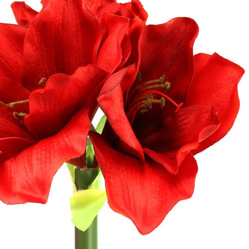 Floristik24 Amarylis sztuczny 60cm czerwony