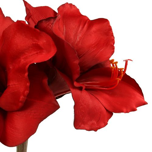 Floristik24 Amarylis sztuczny duży czerwony 96,5cm