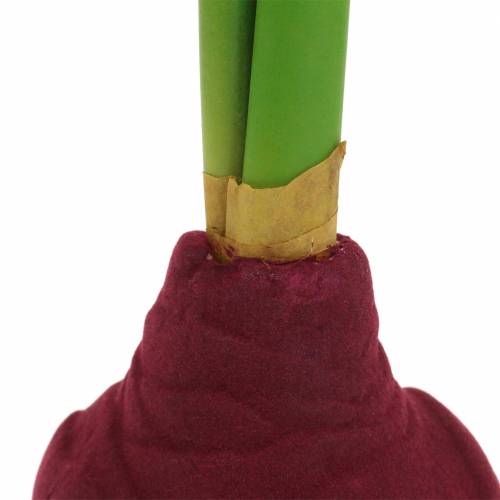 Floristik24 Amarylis Bulb With Buds Artificial 30cm Burgundy