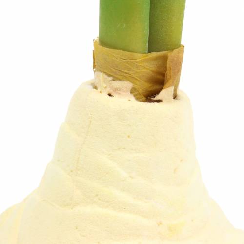 Floristik24 Bulwa amarylis z pąkami Sztuczna biała wys.30cm