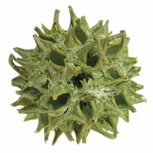 Produkt Szyszki Sweetgum zielone matowe 250g