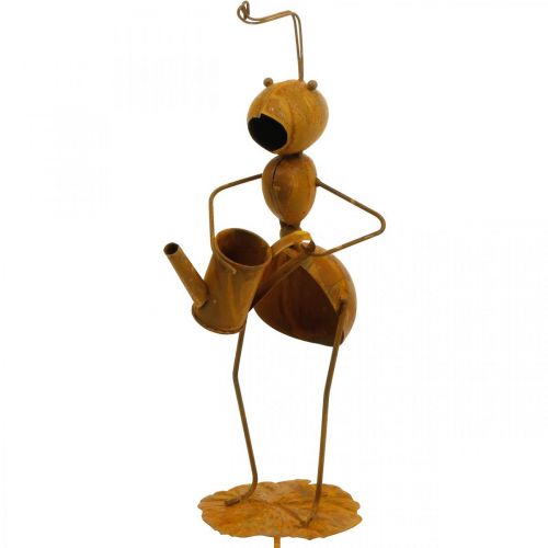 Floristik24 Dekoracyjna wtyczka mrówka, dekoracja łóżka, mrówka z konewką, wtyczka kwiatowa stal nierdzewna