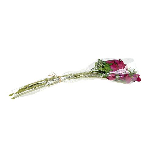 Floristik24 Zawilec sztuczny Fuchsia 6szt