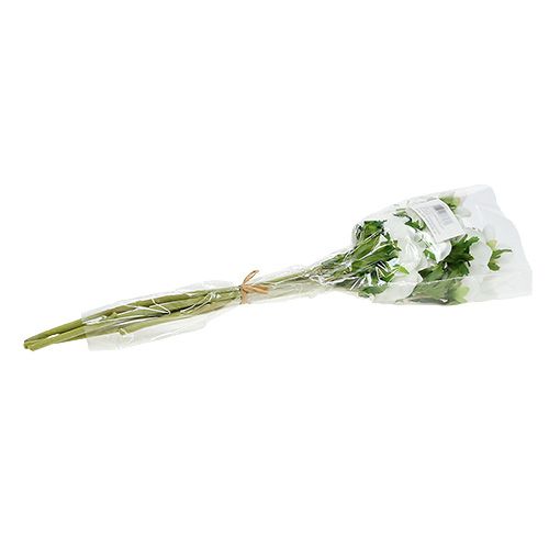 Floristik24 Anemon sztuczny biały 6 sztuk