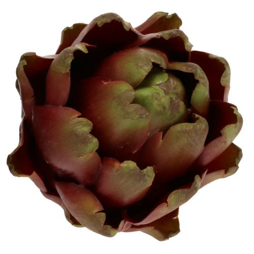 Floristik24 Karczoch brązowy, zielony Ø10cm W11cm