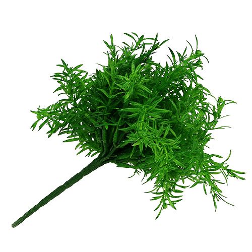 Floristik24 Krzew szparagowy zielony 25cm