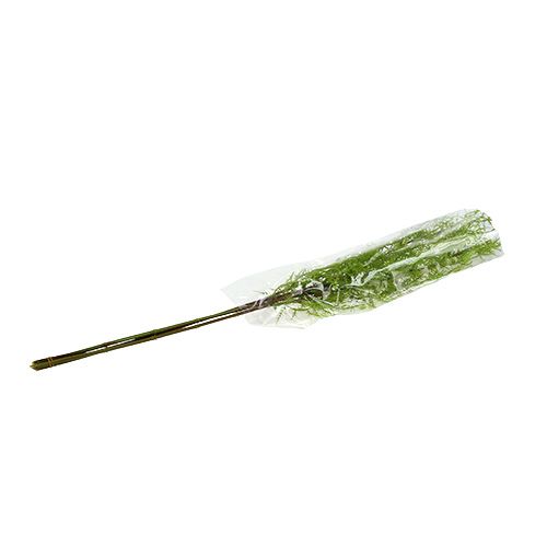 Floristik24 Gałązka szparagów 75 cm zielona 3 szt.