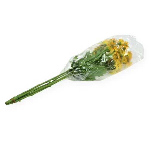 Floristik24 Gałązka dekoracyjna stokrotka żółta 43cm 4szt.