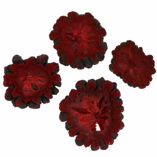 Deco Fruit Slices Ata Fruit Red 1kg