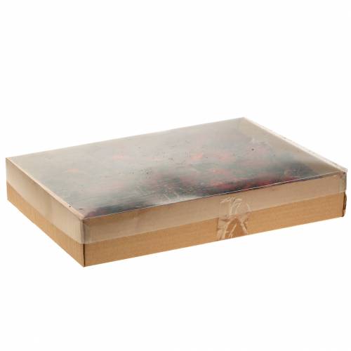 Floristik24 Deco Fruit Slices Ata Fruit Red 1kg