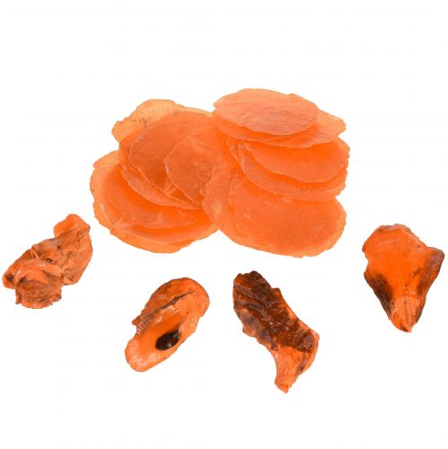 Ostrygi małże capiz plastry w siatce pomarańczy 3,5–9,5 cm 2szt