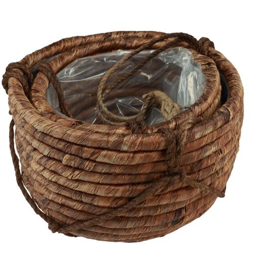 Produkt Kosz do zawieszania hiacynt wodny brązowy 25/31 cm, zestaw 2 szt