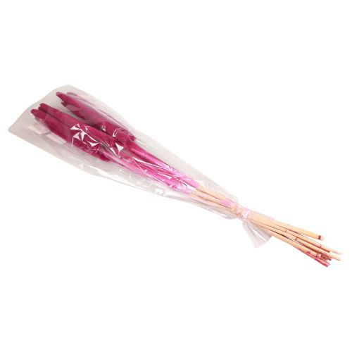 Produkt Proso perłowe, babala trzcinowa, proso różowe 70cm 10 szt