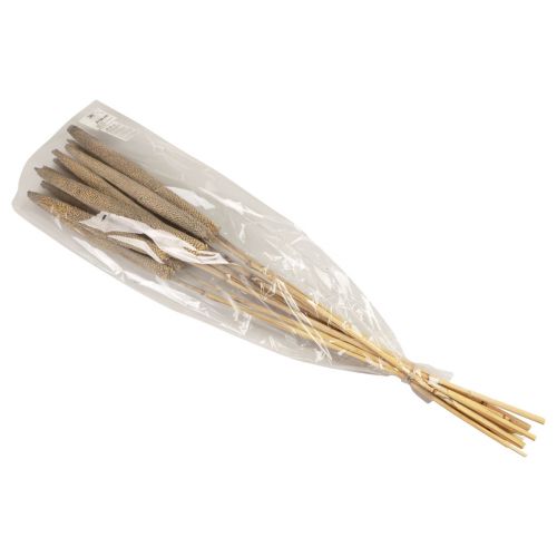 Produkt Proso perłowe, babala trzcinowe, proso zielone 70cm 10 szt