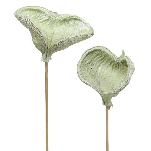 Produkt Badam na patyku dekoracja naturalna zielono biała myta 25 sztuk