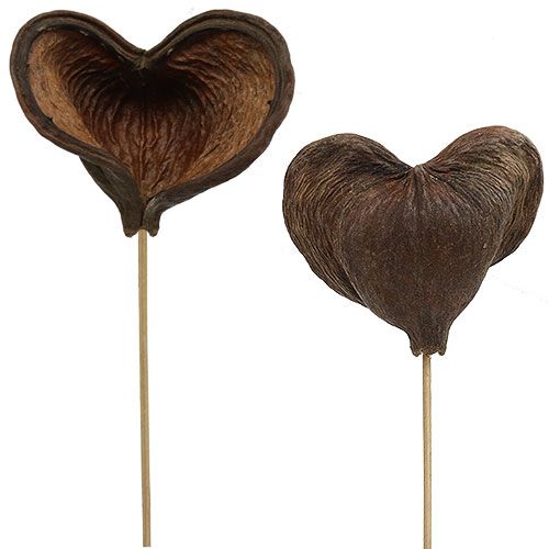 Produkt Badam na patyku naturalny 6cm - 12cm 23 szt