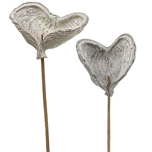 Produkt Badam na patyku bielony 12cm L55cm 23 szt