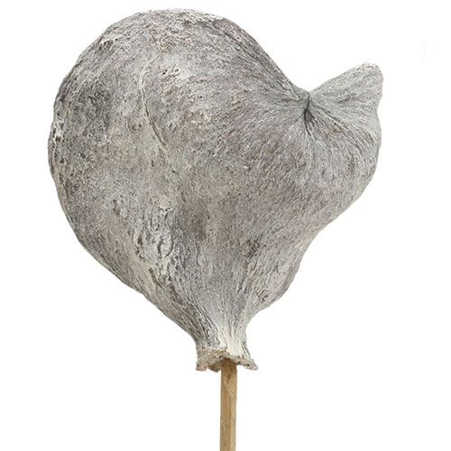 Produkt Badam na patyku bielony 12cm L55cm 23 szt