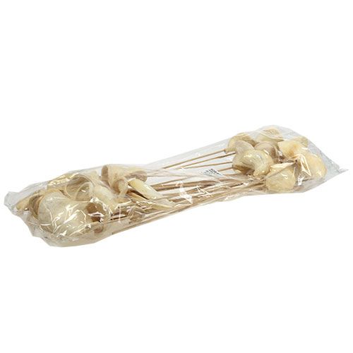 Floristik24 Badam na patyku bielony 6cm - 12cm dł.55cm 23 szt