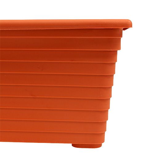 Floristik24 Skrzynka balkonowa &quot;Nowa&quot; terakota 51cm x 21cm, 1szt