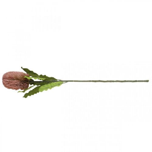 Produkt Sztuczny kwiat Banksia różowa jesienna dekoracja pamiątkowa florystyka 64cm