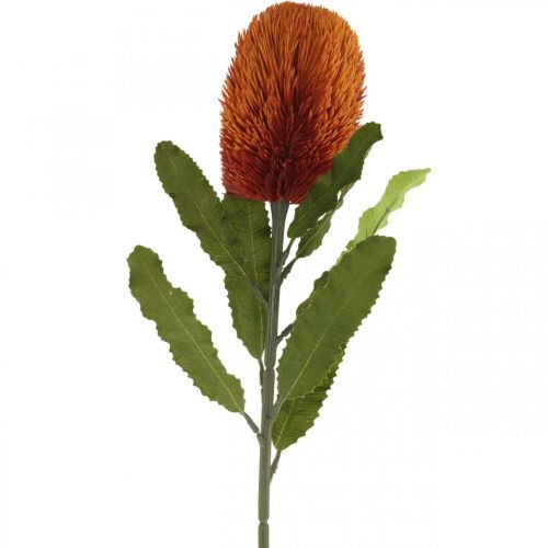 Produkt Sztuczny Kwiat Banksia Pomarańczowy Jesienna Dekoracja Pogrzebowa Kwiatowy 64cm