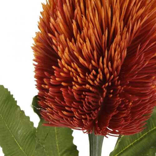 Sztuczny Kwiat Banksia Pomarańczowy Jesienna Dekoracja Pogrzebowa Kwiatowy 64cm