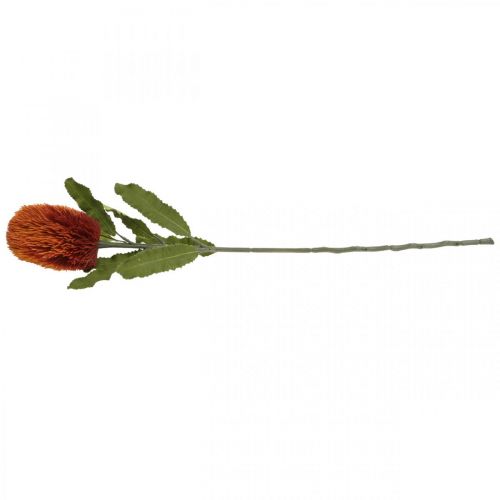 Produkt Sztuczny Kwiat Banksia Pomarańczowy Jesienna Dekoracja Pogrzebowa Kwiatowy 64cm