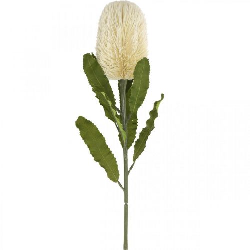 Kwiat Sztuczny Banksia Biały Kremowy Sztuczny Egzotyczny 64cm