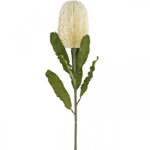 Produkt Kwiat Sztuczny Banksia Biały Kremowy Sztuczny Egzotyczny 64cm