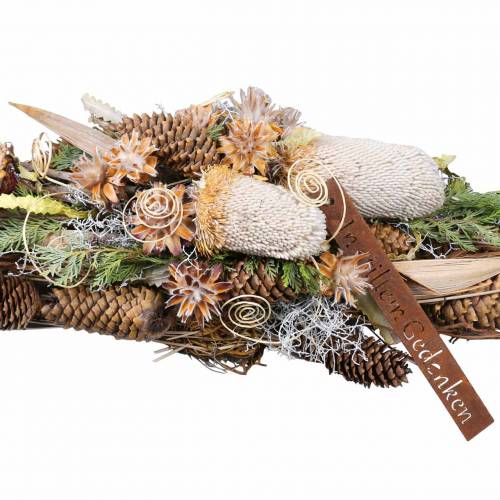 Floristik24 Banksia Hookerana naturalna 7 szt