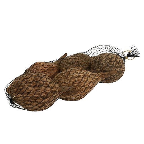 Floristik24 Owoce baobabu obrane 15cm - 20cm naturalne 5 szt
